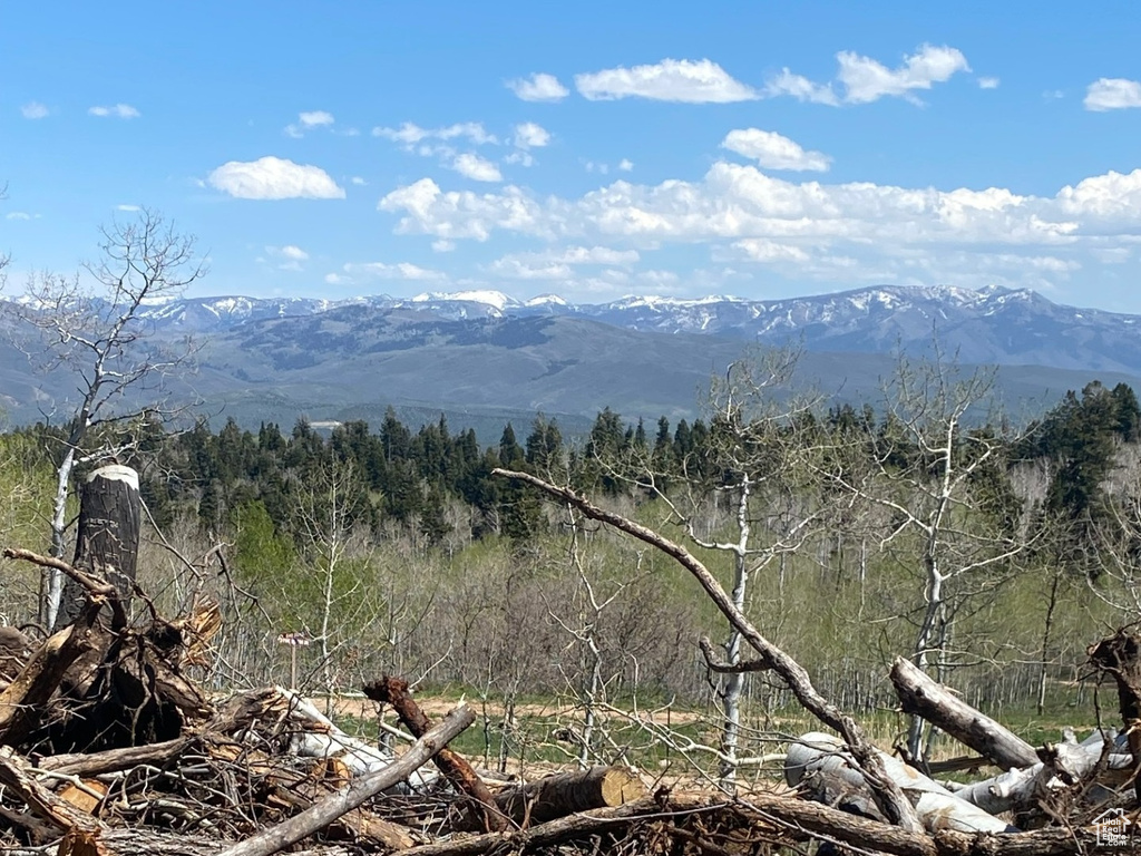 View of undeveloped land featuring mountains