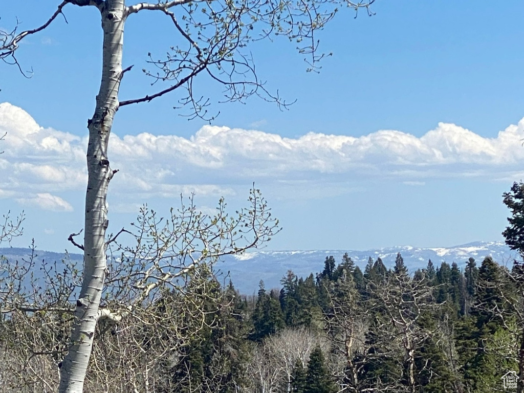 View of mountain backdrop featuring a forest
