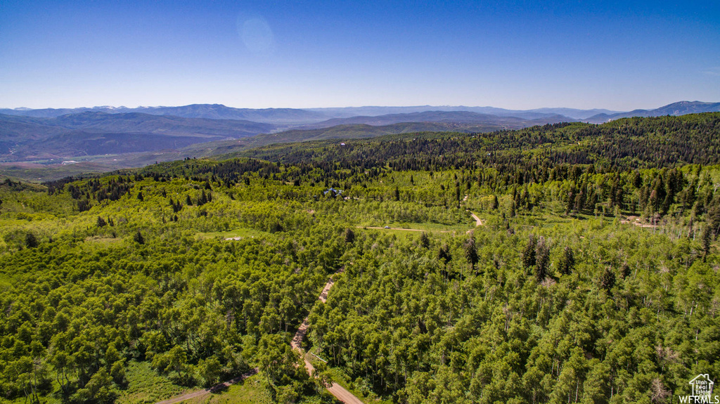 View of mountain backdrop featuring a forest