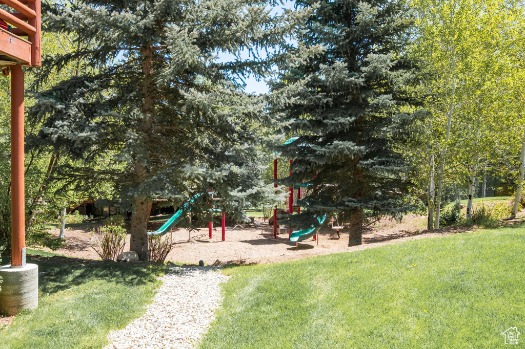 Community play area with a yard