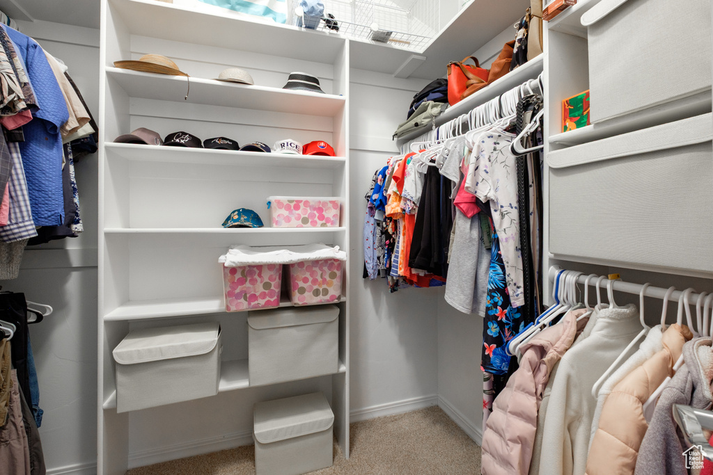 Spacious closet featuring carpet flooring