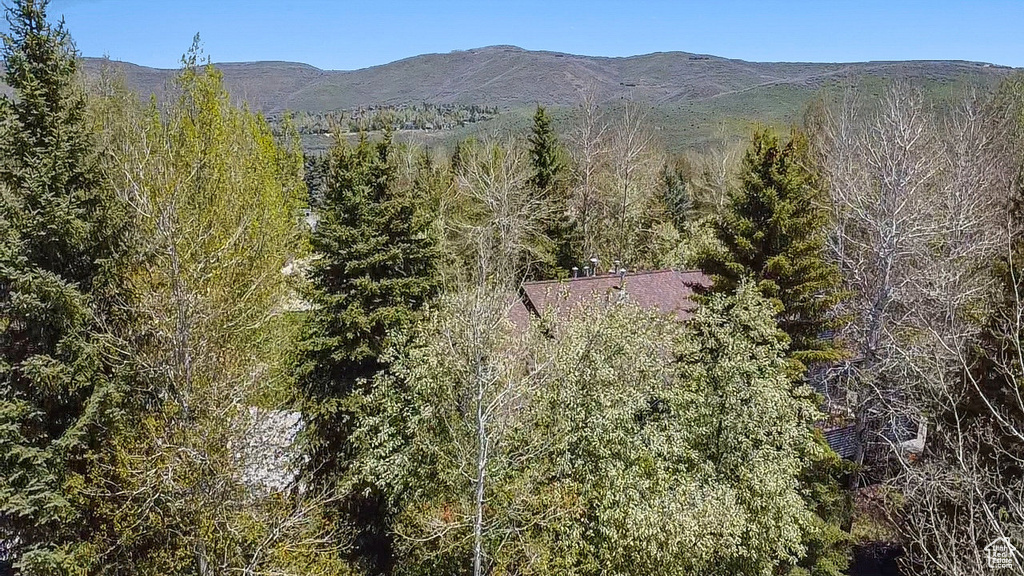 View of mountain background featuring a heavily wooded area