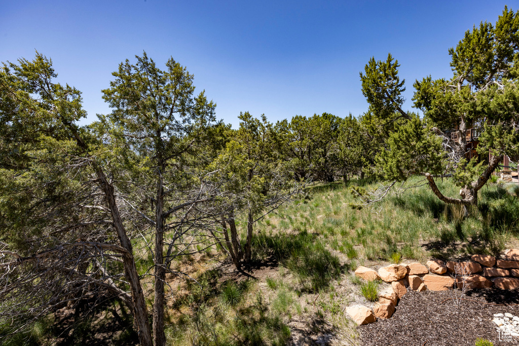 View of undeveloped land