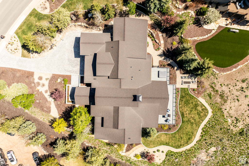 Bird\'s eye view