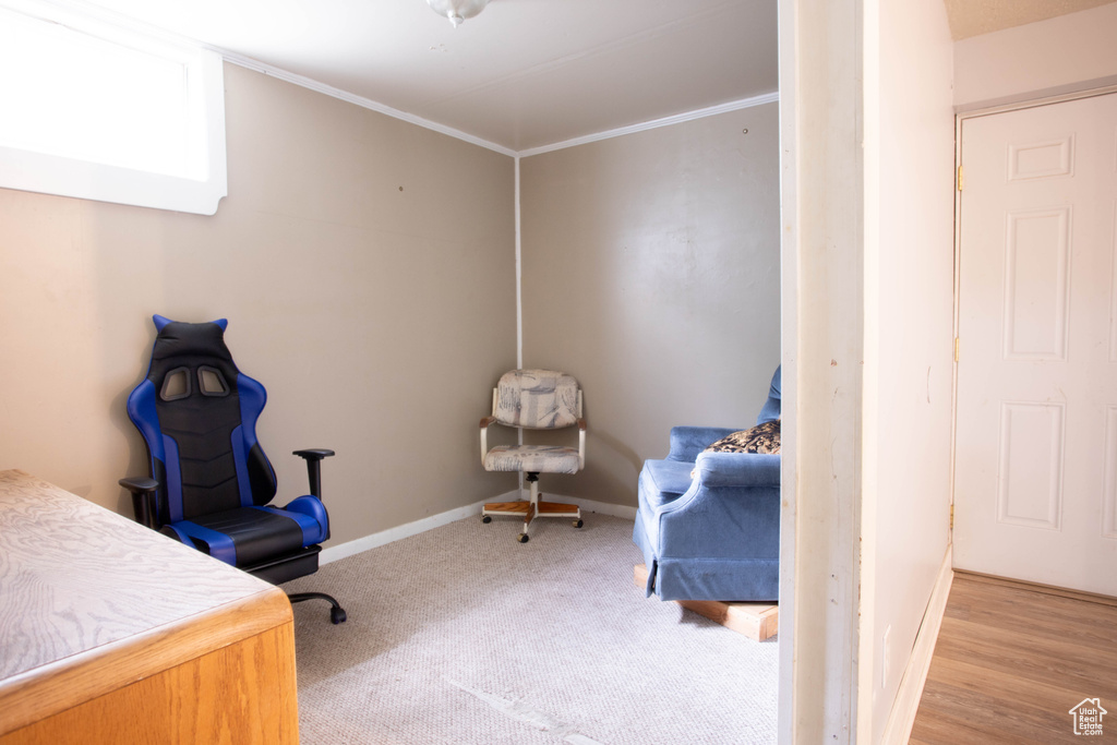 Bedroom featuring baseboards, light colored carpet, and ornamental molding