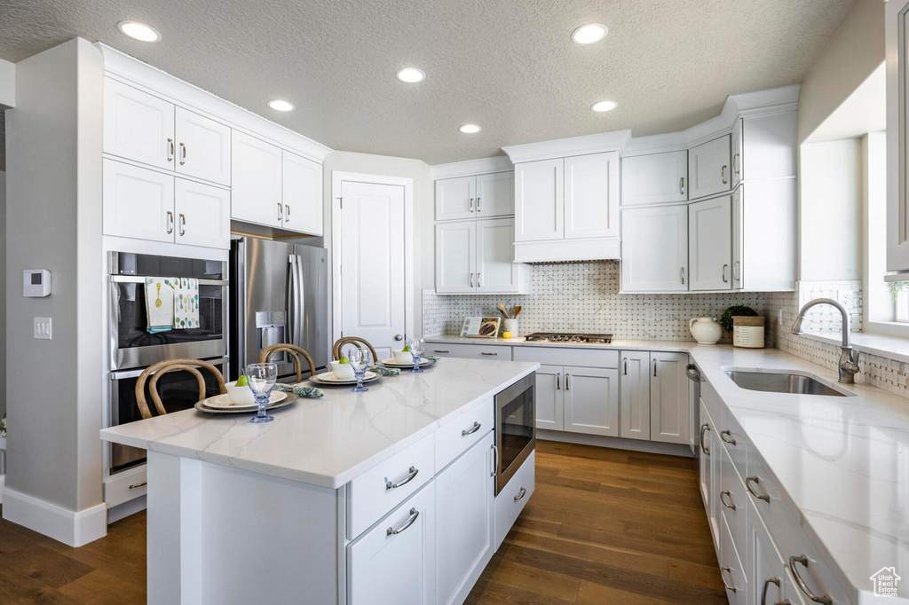 Kitchen with stainless steel appliances, a sink, dark wood-style floors, tasteful backsplash, and recessed lighting