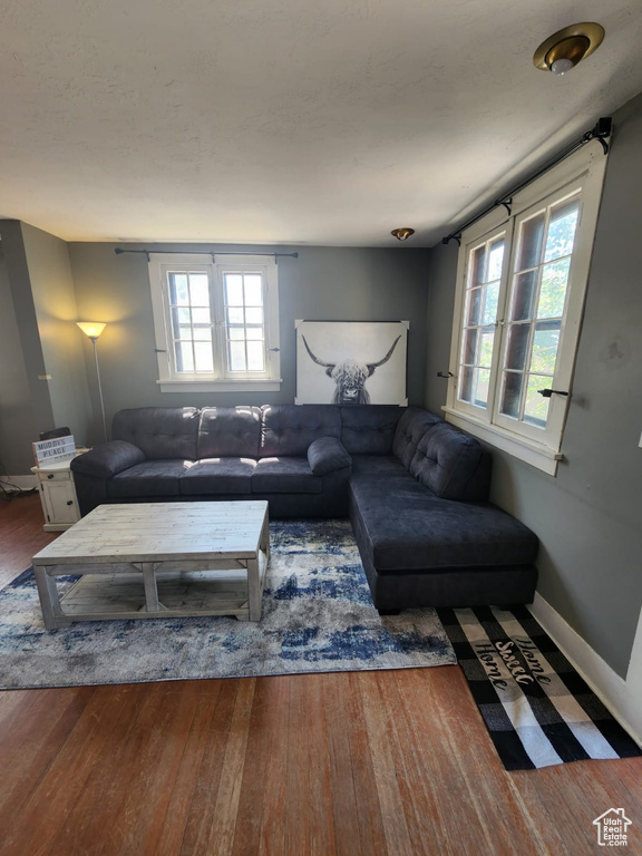 Living room featuring plenty of natural light, wood finished floors, and baseboards