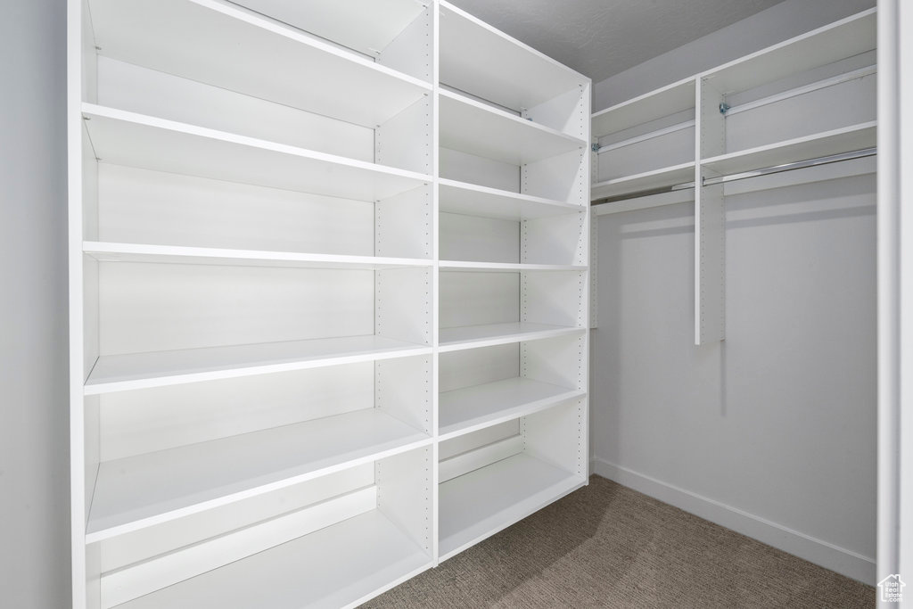 Walk in closet with carpet floors