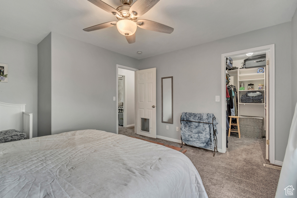 Bedroom featuring a spacious closet, carpet floors, a closet, baseboards, and a ceiling fan