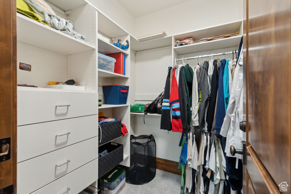 Walk in closet with attic access and carpet floors