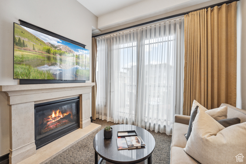 Carpeted living area with a glass covered fireplace