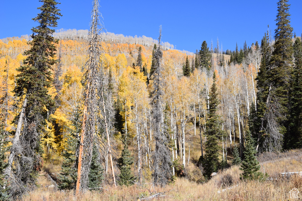 View of mountain backdrop featuring a forest