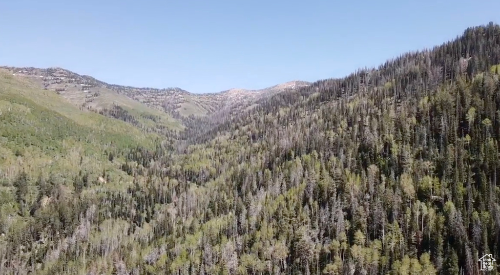 View of mountain background featuring a heavily wooded area