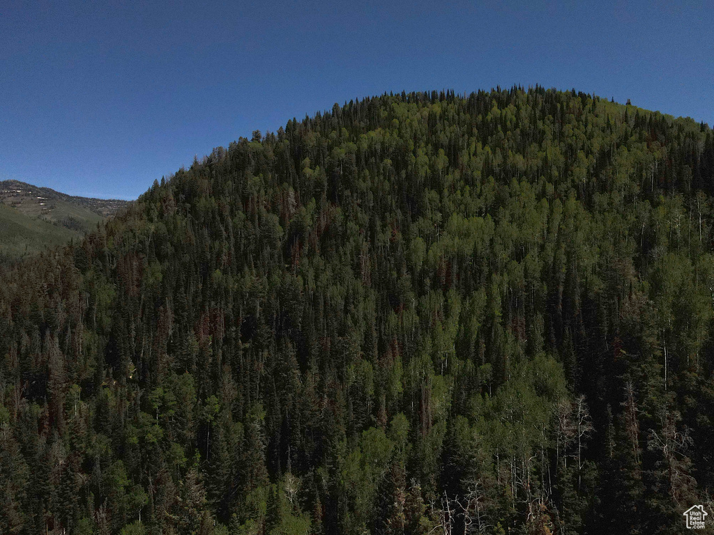 Mountain view with a heavily wooded area