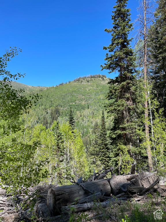 View of mountain backdrop featuring a heavily wooded area