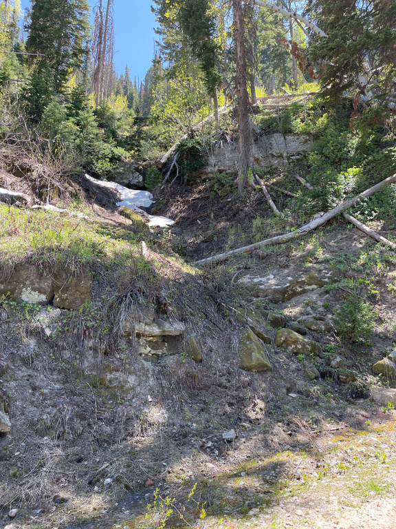 View of undeveloped land