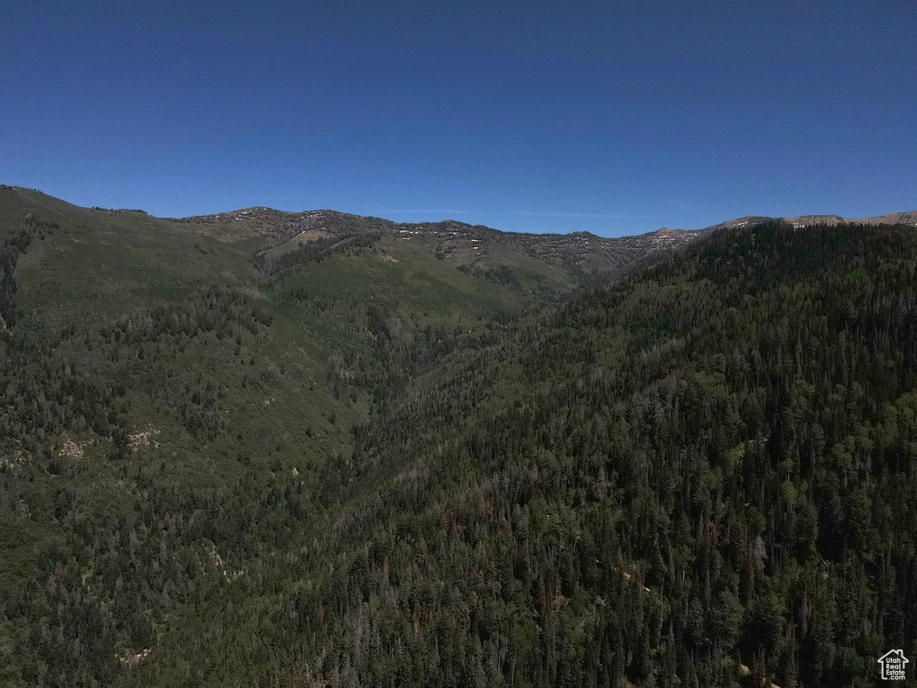 View of mountain backdrop featuring a heavily wooded area