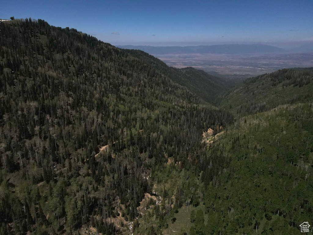 View of mountain background with a forest