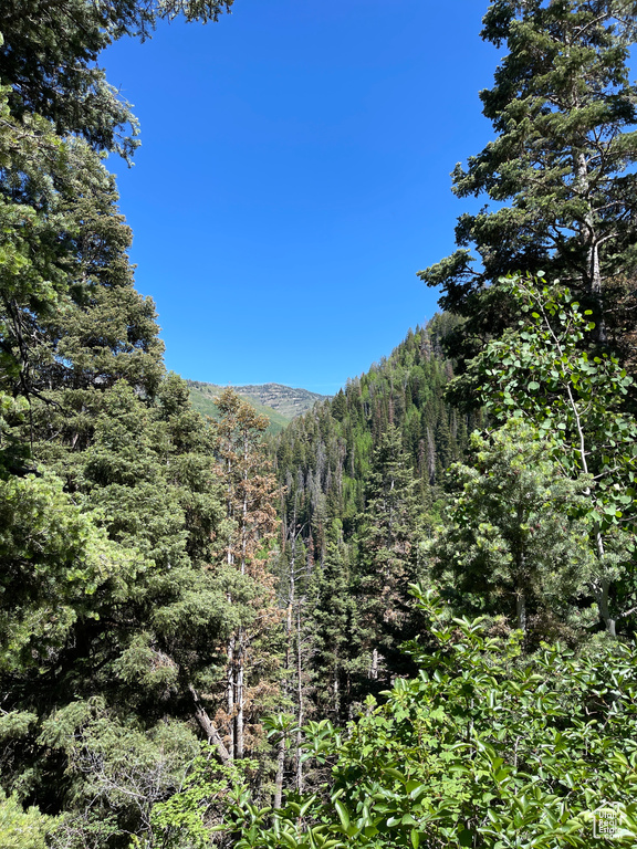 View of mountain backdrop featuring a forest