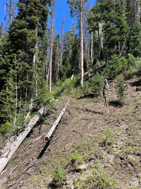 View of undeveloped land
