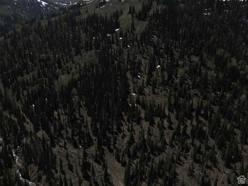 Aerial overview of property's location