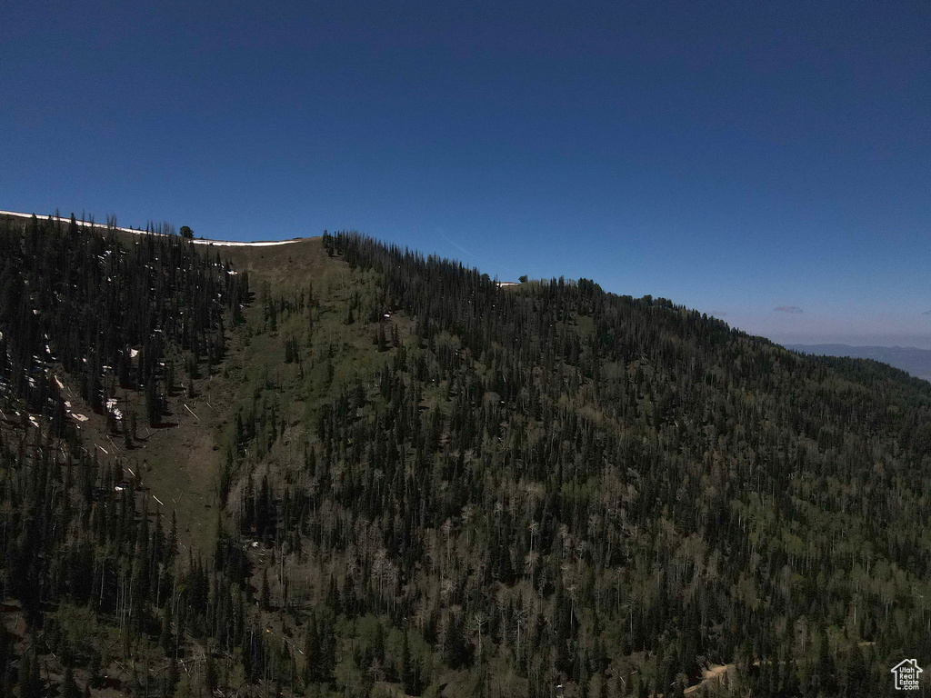 View of mountain background with a heavily wooded area