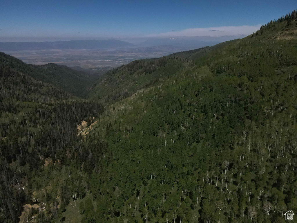 View of mountain background with a forest
