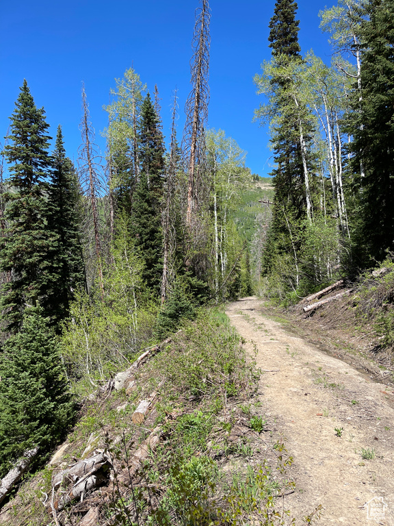 View of road