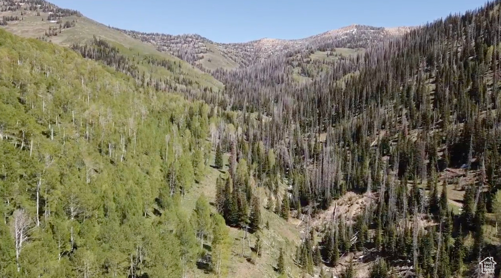 View of mountain background featuring a heavily wooded area