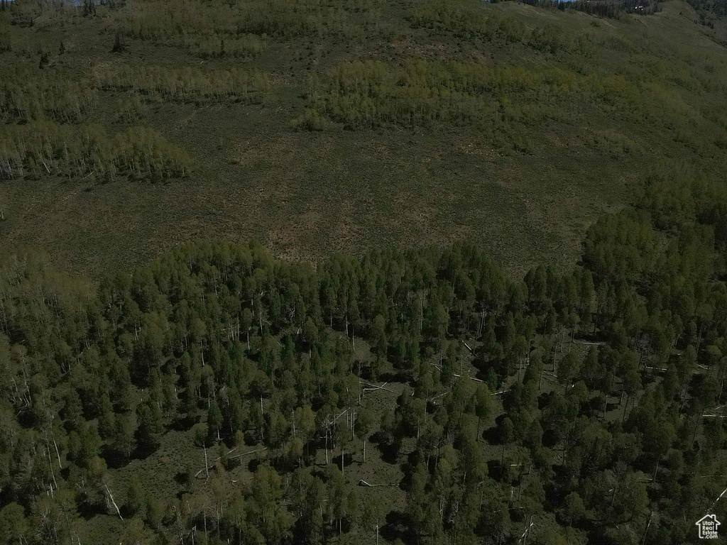 Aerial view of property and surrounding area featuring a forest