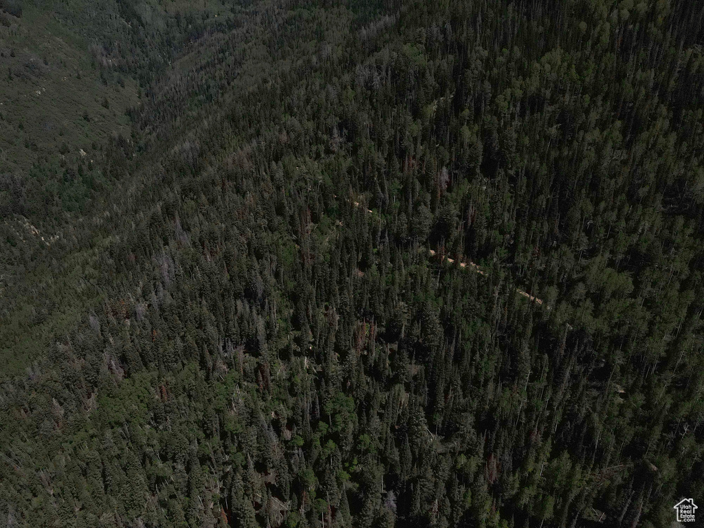 Aerial view of property's location with a forest