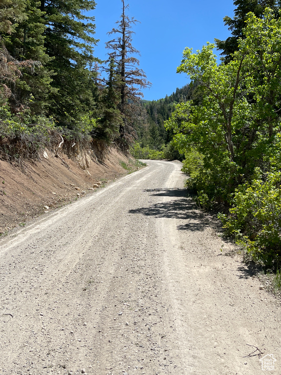 View of dirt / gravel road featuring a wooded view