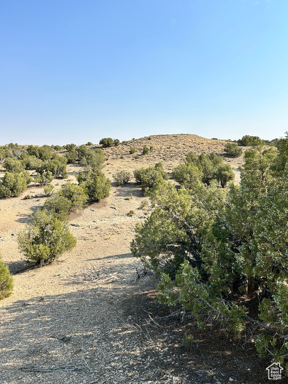 19961 W TOSHAS TRL Duchesne, UT 84021