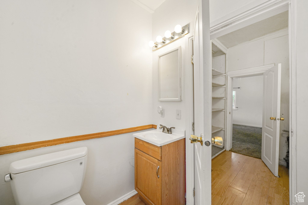 Bathroom featuring toilet, vanity, and wood-type flooring