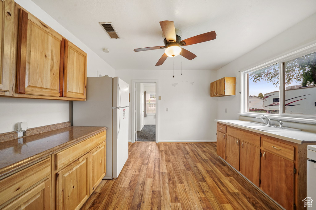Kitchen featuring freestanding refrigerator, light wood-style flooring, a sink, ceiling fan, and baseboards
