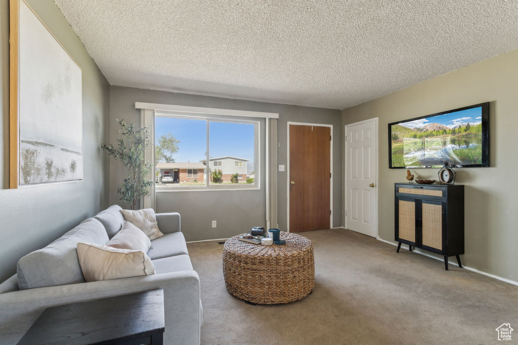 Carpeted living room with a textured ceiling and baseboards