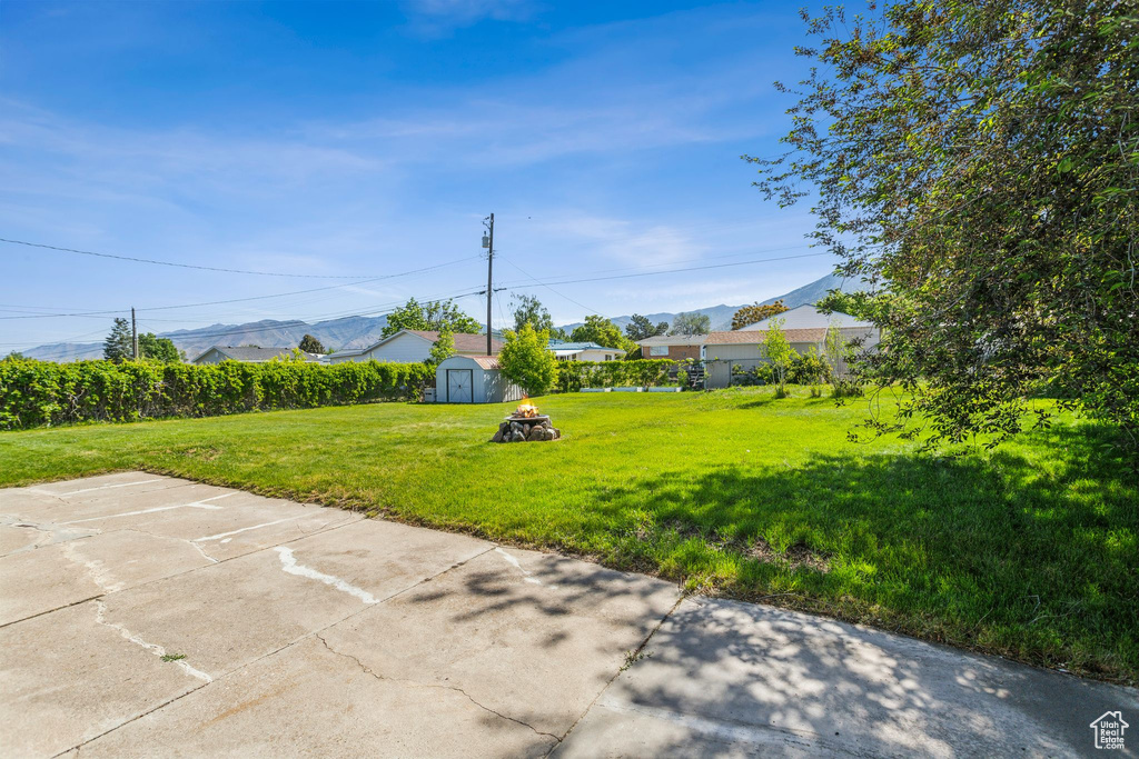 View of grassy yard