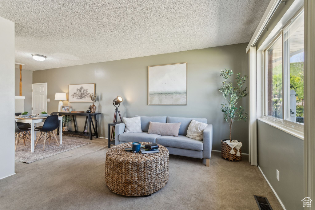 Living room featuring carpet, a textured ceiling, and baseboards