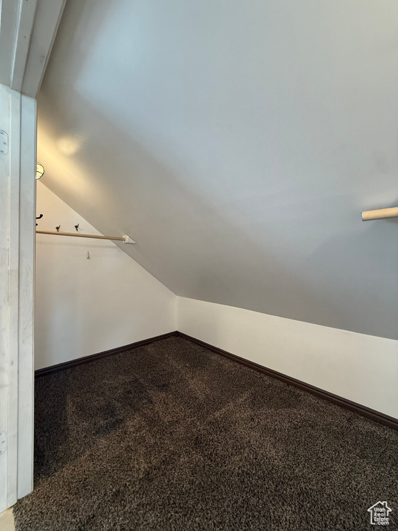 Walk in closet with carpet floors and vaulted ceiling