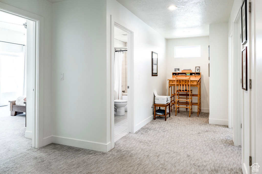 Corridor featuring carpet floors, baseboards, and a textured ceiling