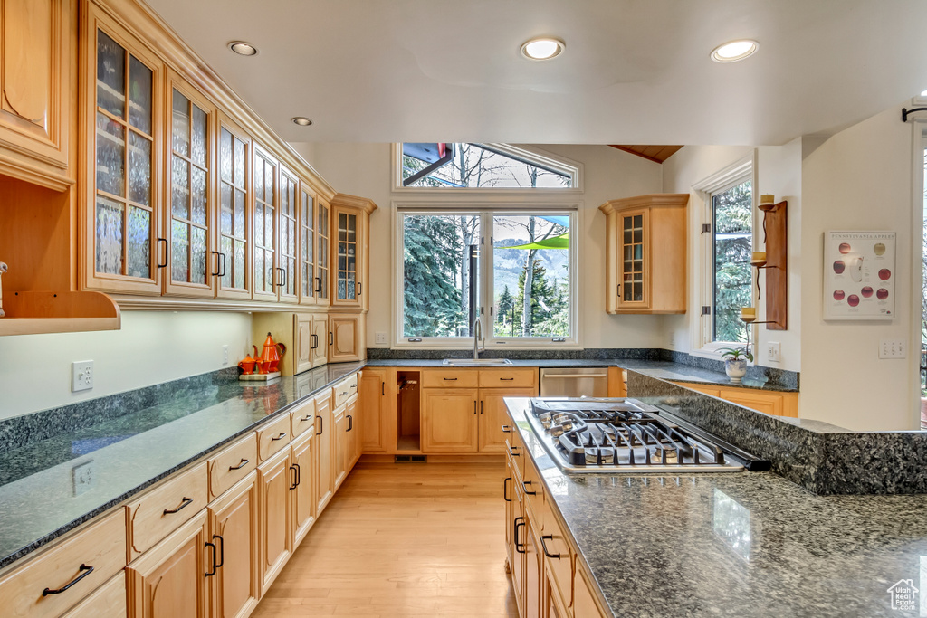 Kitchen with stainless steel appliances, light wood-style floors, recessed lighting, glass insert cabinets, and dark stone countertops