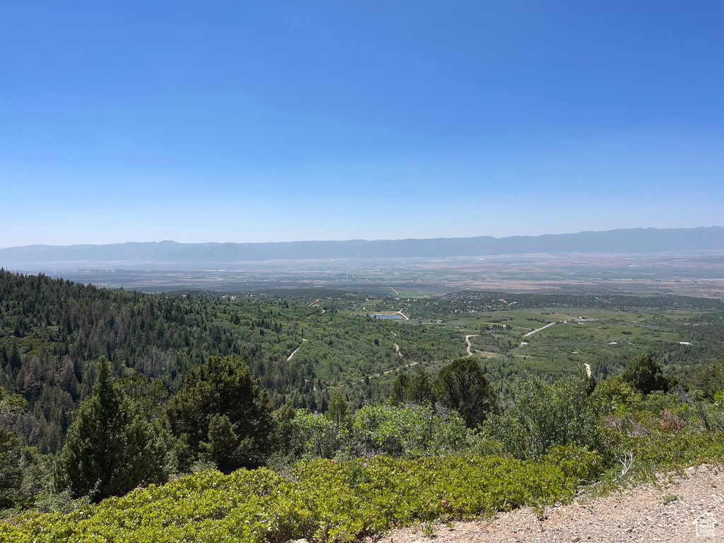 View of mountain backdrop featuring a heavily wooded area