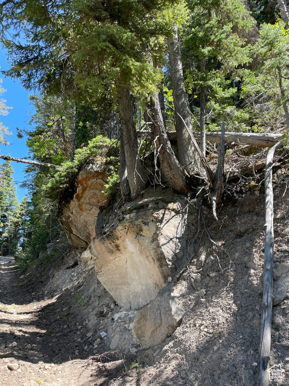 View of nature