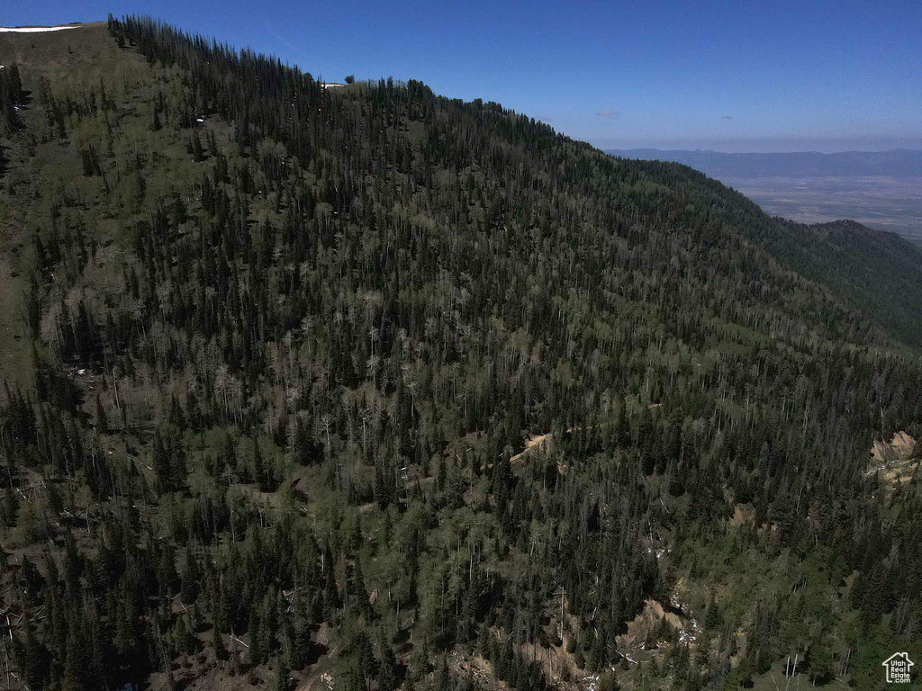 View of mountain backdrop with a forest