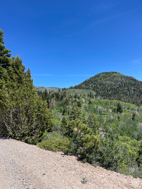 View of mountain backdrop with a heavily wooded area