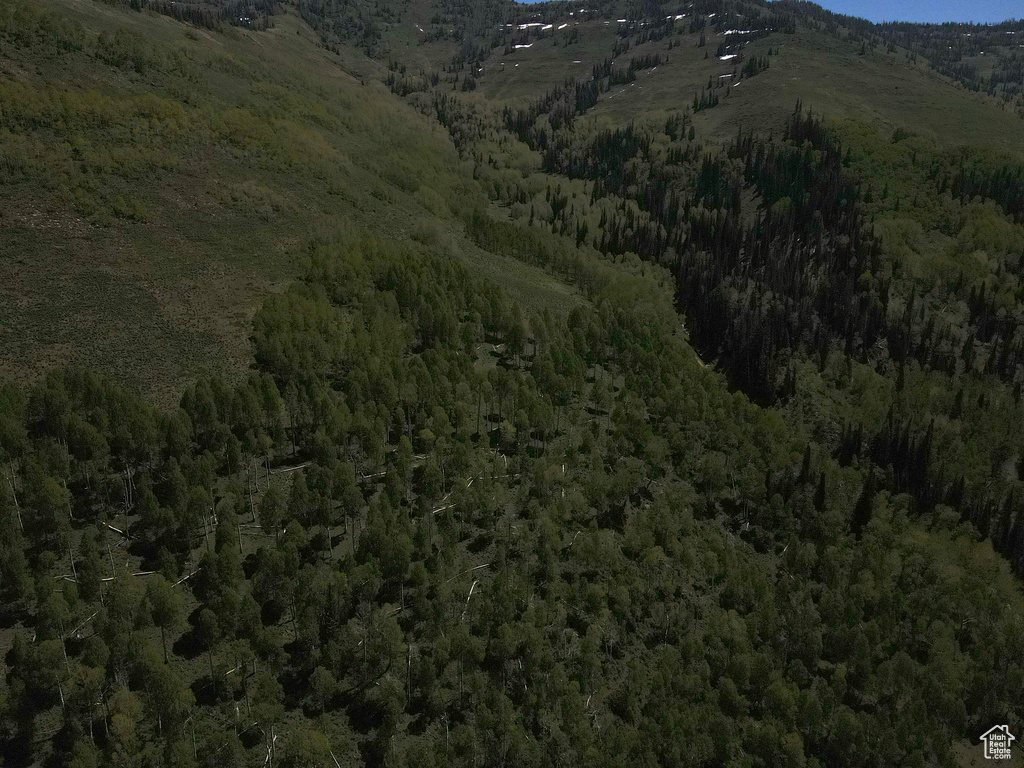 View of mountain background featuring a forest