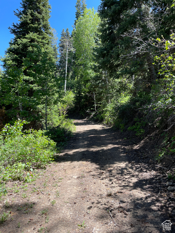 View of street with a wooded view