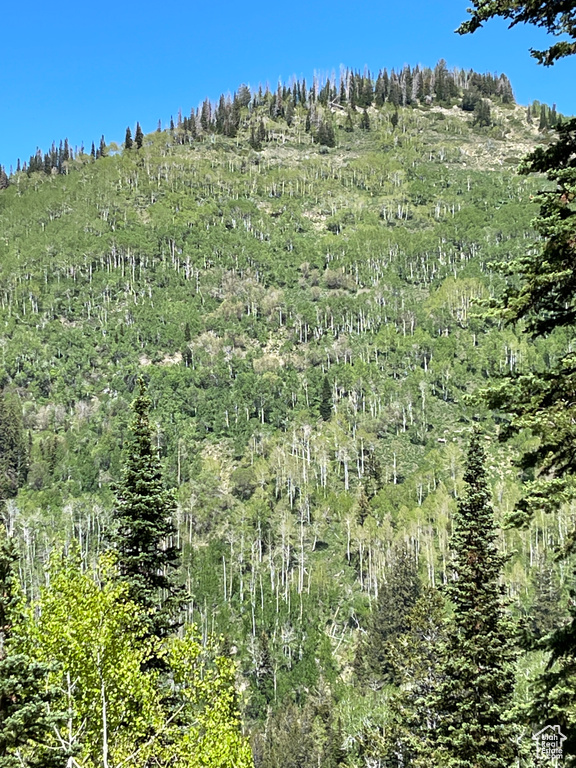 View of woods