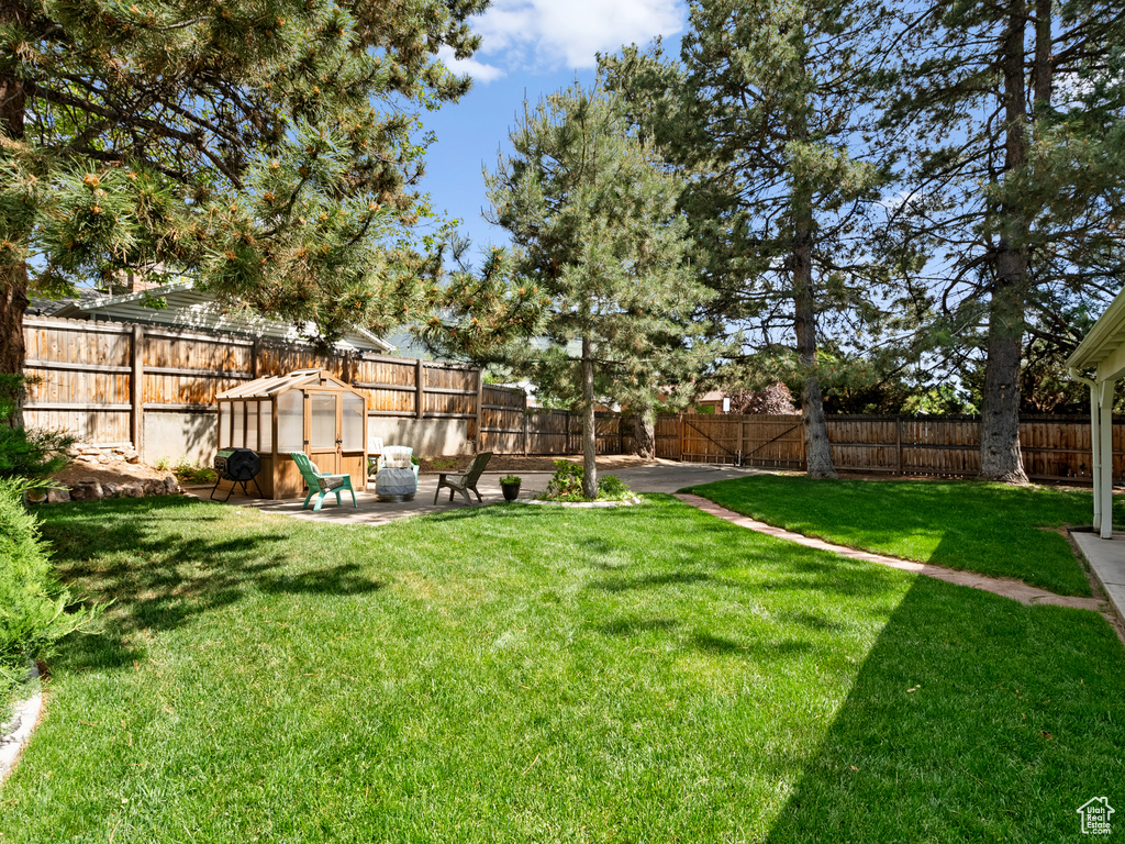 View of yard featuring a patio