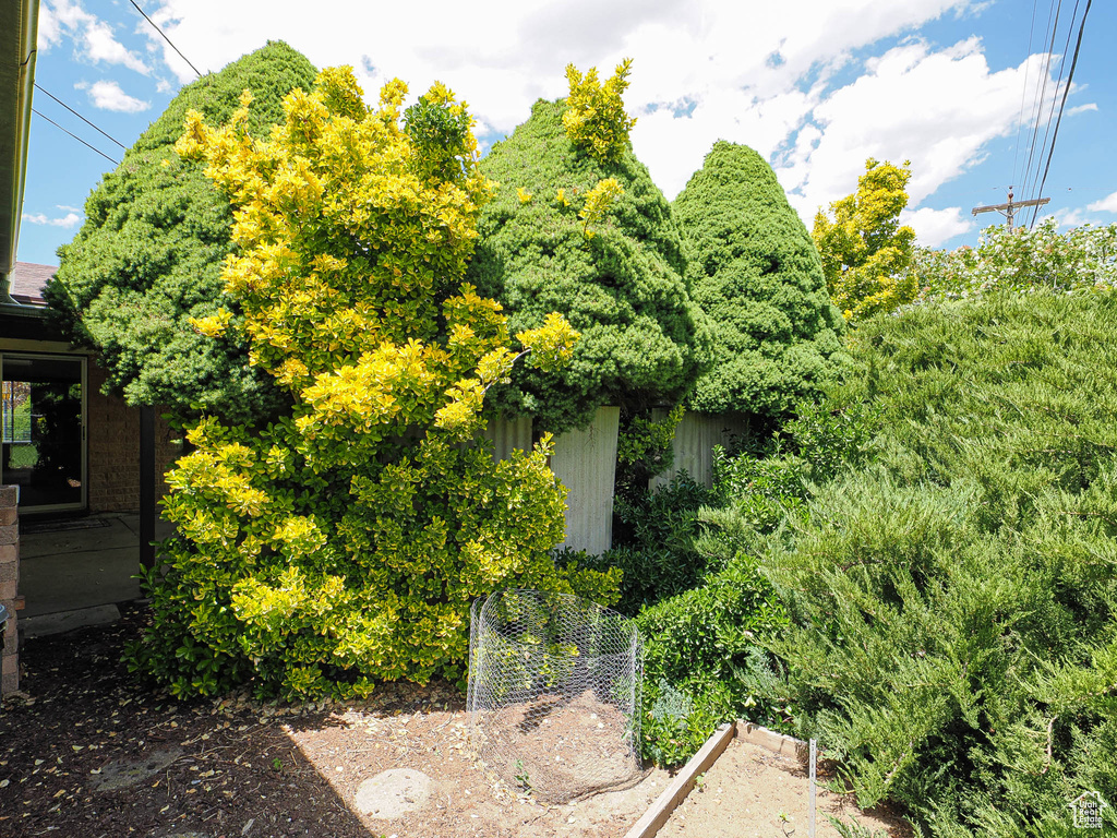 View of yard with a garden